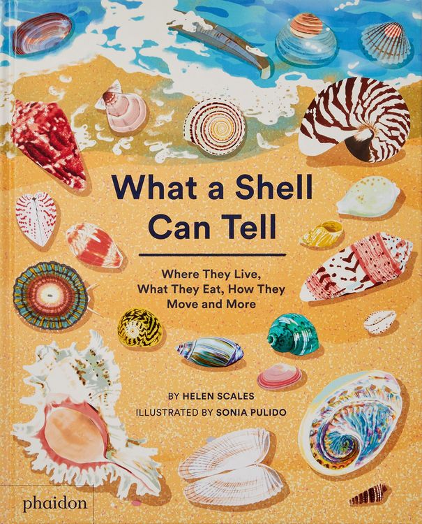 Produktbild: What A Shell Can Tell