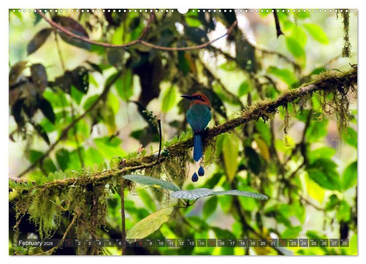 Produktbild: Amazing Costa Rica (High Quality Premium Wall Calendar 2026 DIN A2 landscape),CALVENDO 12 Month Wall Calendar