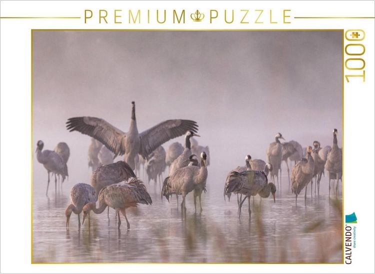 Produktbild: CALVENDO Puzzle Ein Motiv aus dem Kalender Kraniche am Schlafplatz - im Naturparadies der Mecklenburgischen Seenplatte | 1000 Teile Lege-Gr&ouml;&szlig;e 64x48cm Foto-Puzzle f&uuml;r gl&uuml;ckliche Stunden
