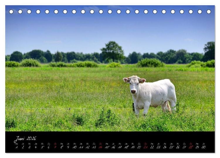 Produktbild: Vier- und Marschlande Hamburgs gr&uuml;ner S&uuml;dosten (Tischkalender 2026 DIN A5 quer), CALVENDO Monatskalender