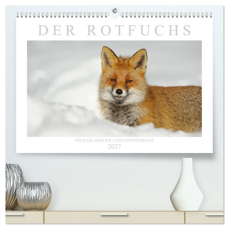 Produktbild: Der Rotfuchs (hochwertiger Premium Wandkalender 2027 DIN A2 quer), Kunstdruck in Hochglanz