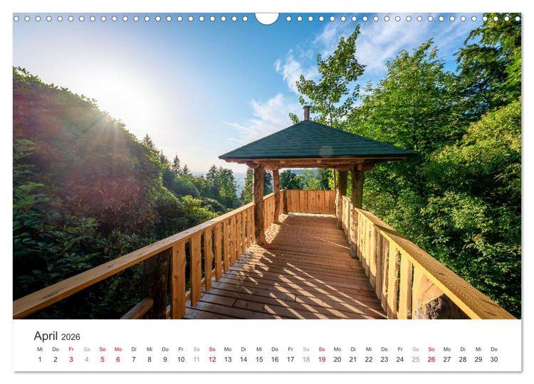 Produktbild: Heidelberg im Fokus (Wandkalender 2026 DIN A3 quer), CALVENDO Monatskalender