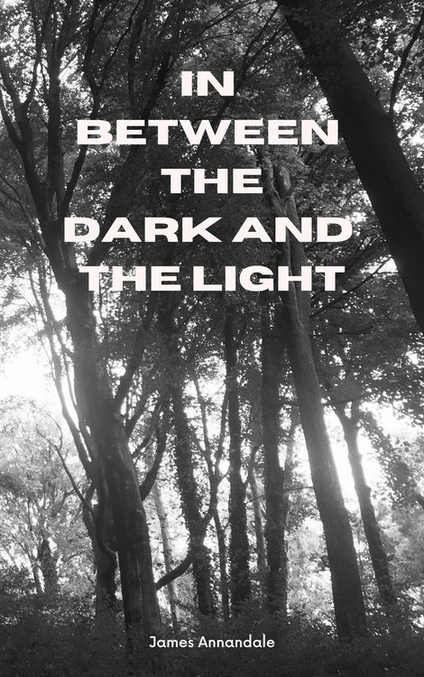 Produktbild: In Between the Dark and the Light