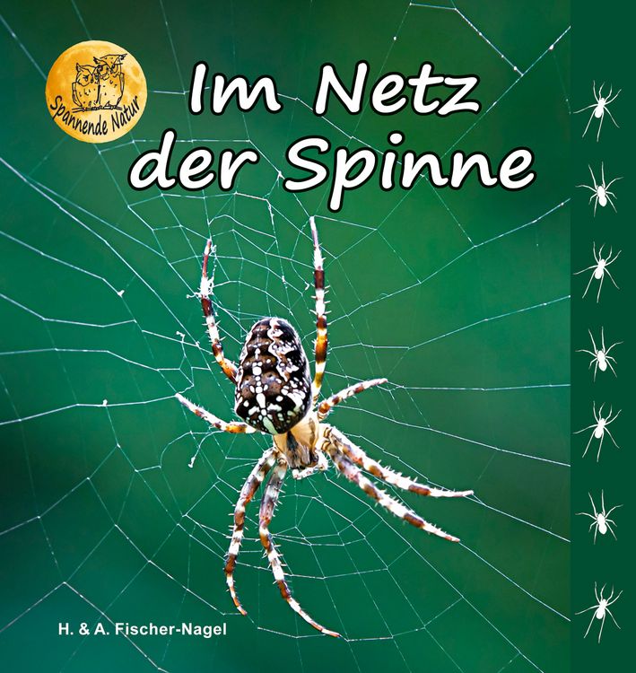 Produktbild: Im Netz der Spinne