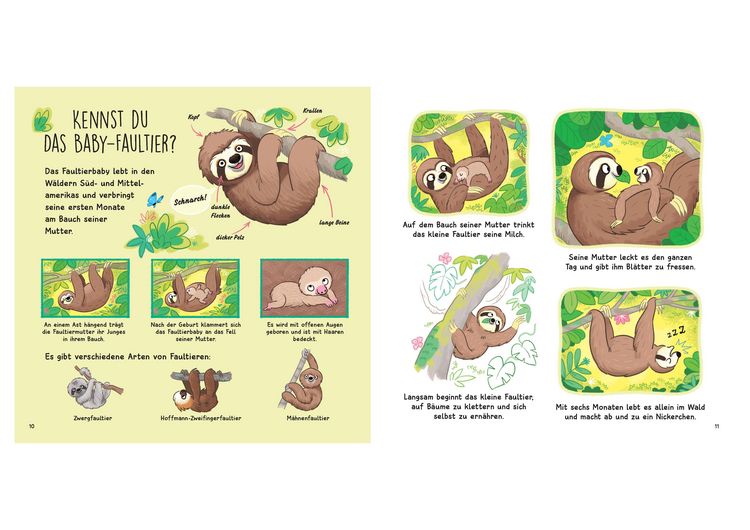 Produktbild: Kennst du die Tierkinder? - Sachbilderbuch f&uuml;r Kinder ab 3 Jahren