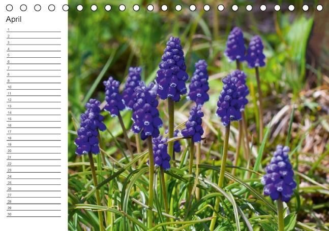 Produktbild: Ich denk an Dich ... Pers&ouml;nlicher Terminkalender (Tischkalender immerw&auml;hrend DIN A5 quer)
