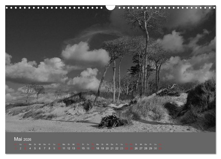 Produktbild: Ostsee - von schwarz bis wei&szlig; (Wandkalender 2026 DIN A3 quer), CALVENDO Monatskalender