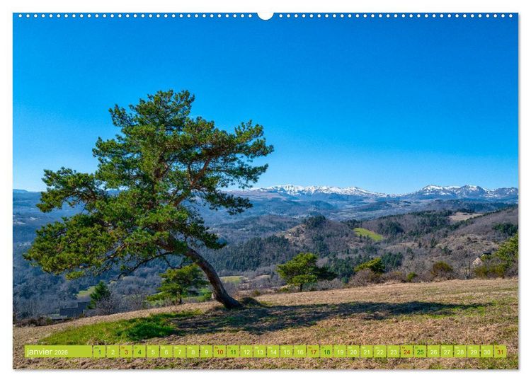 Produktbild: Solitude verdoyante (Calendrier mural 2026 DIN A2 vertical), CALVENDO calendrier mensuel