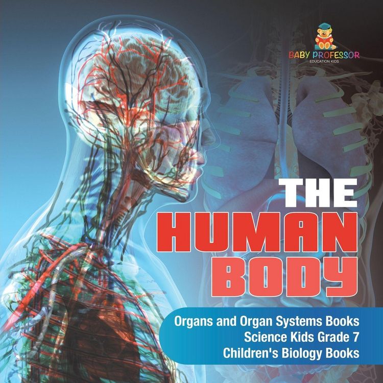 Produktbild: The Human Body | Organs and Organ Systems Books | Science Kids Grade 7 | Children's Biology Books