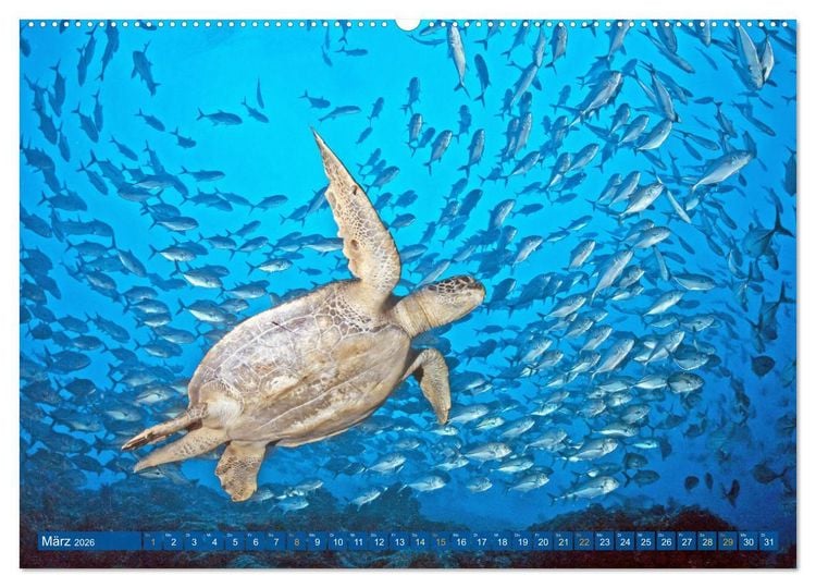 Produktbild: Planet Wasser: Von wegen Planet Erde (hochwertiger Premium Wandkalender 2026 DIN A2 quer), Kunstdruck in Hochglanz