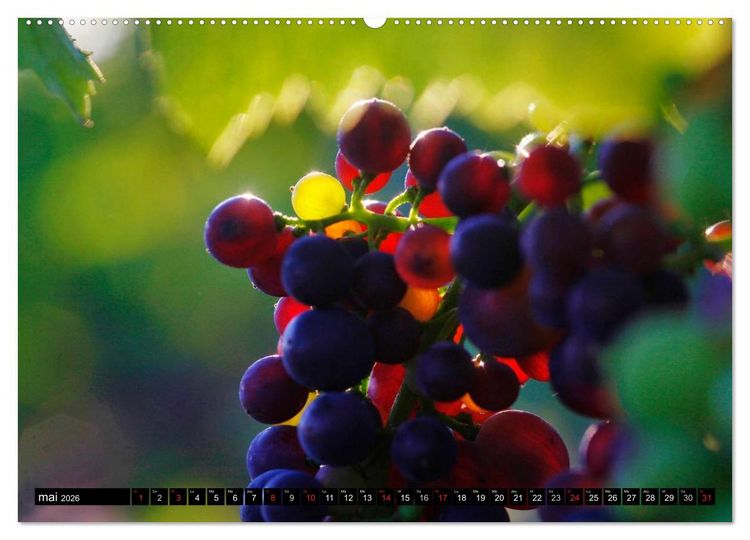 Produktbild: LE VIN (Calendrier mural 2026 DIN A2 vertical) calendrier de bureau