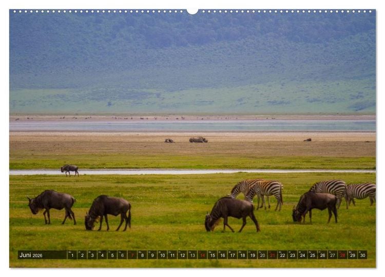 Produktbild: Abenteuer Tansania, Afrika (Wandkalender 2026 DIN A2 quer), CALVENDO Monatskalender