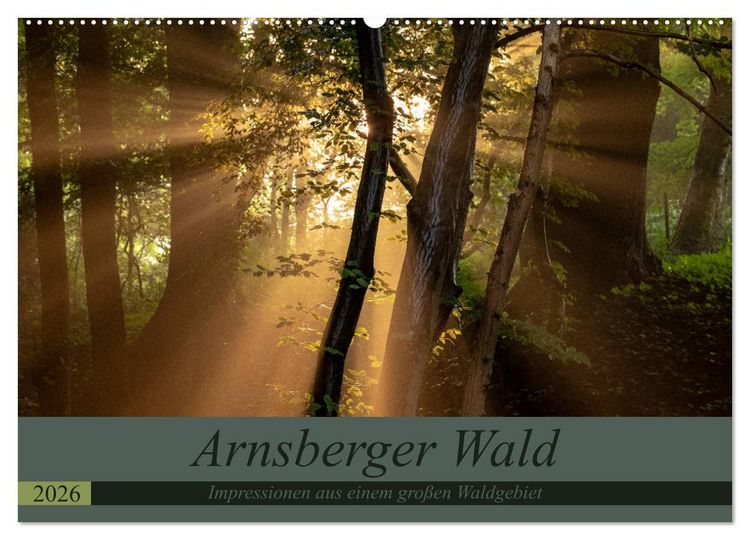 Produktbild: Arnsberger Wald (Wandkalender 2026 DIN A2 quer), CALVENDO Monatskalender