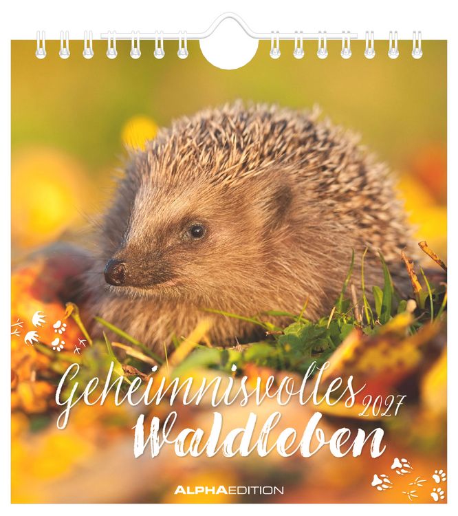 Produktbild: Geheimnisvolles Waldleben 2027