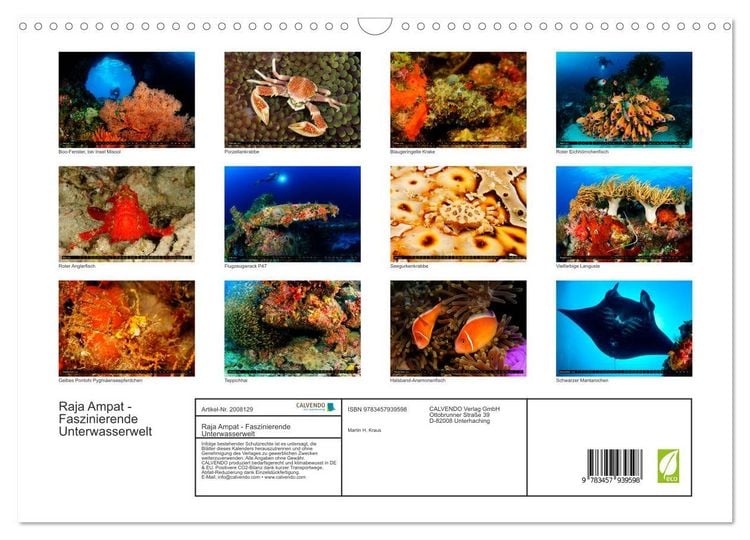 Produktbild: Raja Ampat - Faszinierende Unterwasserwelt (Wandkalender 2026 DIN A3 quer), CALVENDO Monatskalender