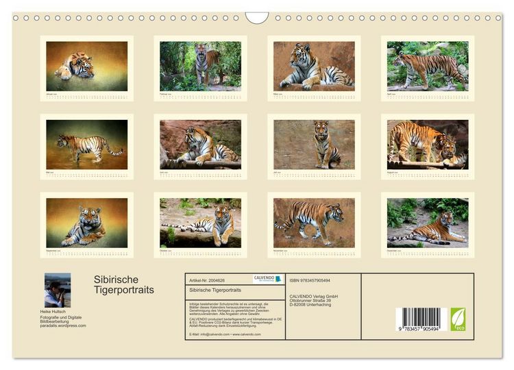 Produktbild: Sibirische Tigerportraits (Wandkalender 2026 DIN A3 quer), CALVENDO Monatskalender