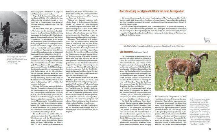 Produktbild: Seltene Nutztiere der Alpen
