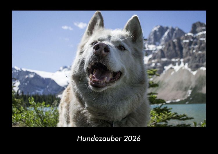 Produktbild: Hundezauber 2026 Fotokalender DIN A3