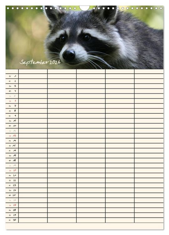 Produktbild: Waschb&auml;ren Familienplaner (Wandkalender 2026 DIN A3 hoch), CALVENDO Monatskalender