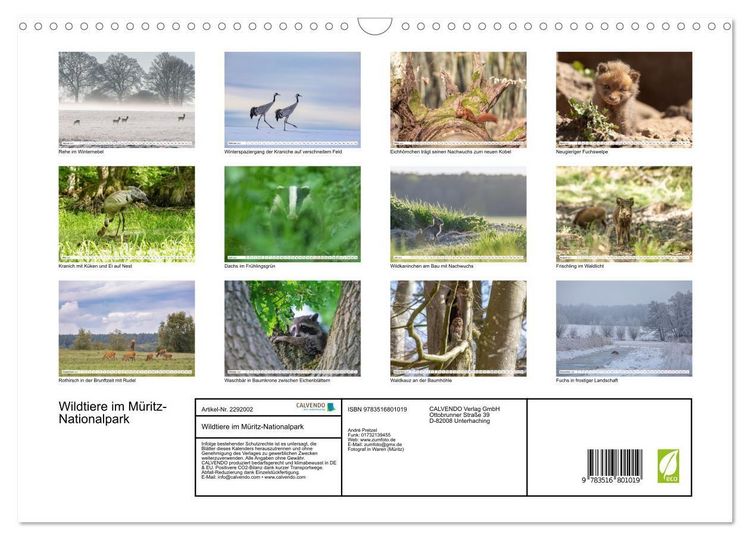 Produktbild: Wildtiere im M&uuml;ritz-Nationalpark (Wandkalender 2027 DIN A3 quer), CALVENDO Monatskalender