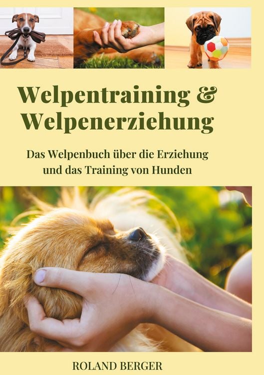 Produktbild: Welpentraining und Welpenerziehung