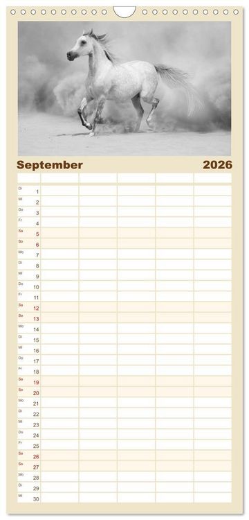 Produktbild: Familienplaner 2026 - Arabische Pferde mit 5 Spalten (Wandkalender, 21 x 45 cm) CALVENDO
