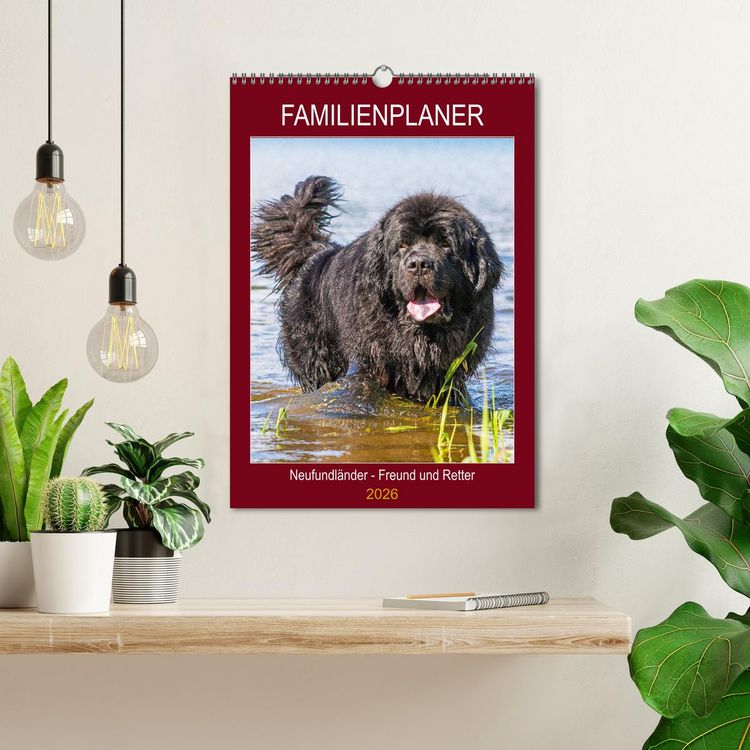 Produktbild: Familienplaner Neufundl&auml;nder - Freund und Retter (Wandkalender 2026 DIN A3 hoch), CALVENDO Monatskalender