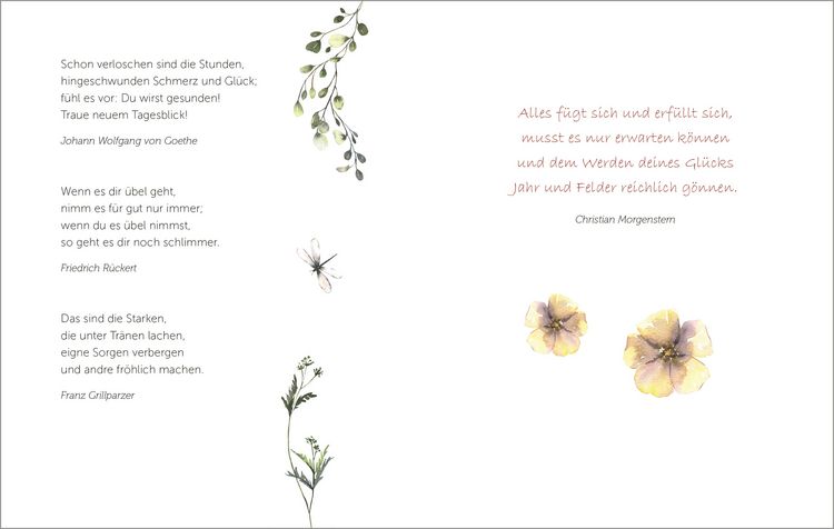 Produktbild: Die sch&ouml;nsten Blumen bl&uuml;hen f&uuml;r die, die sie sehen