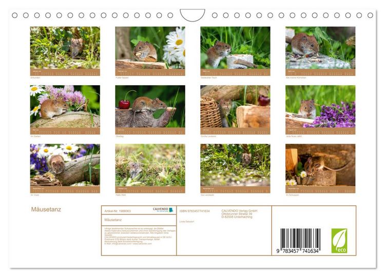 Produktbild: M&auml;usetanz (Wandkalender 2026 DIN A4 quer), CALVENDO Monatskalender