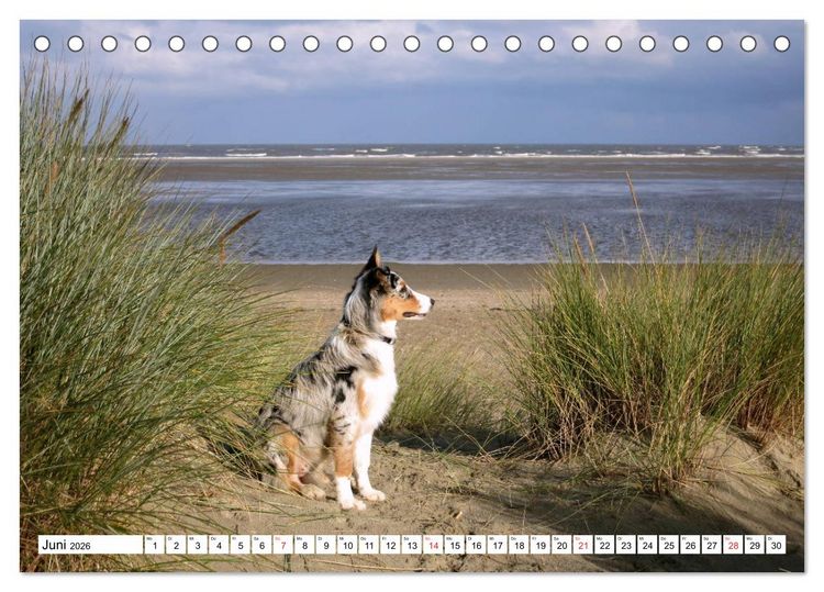 Produktbild: Ouddorp - Nordseeperle (Tischkalender 2026 DIN A5 quer), CALVENDO Monatskalender