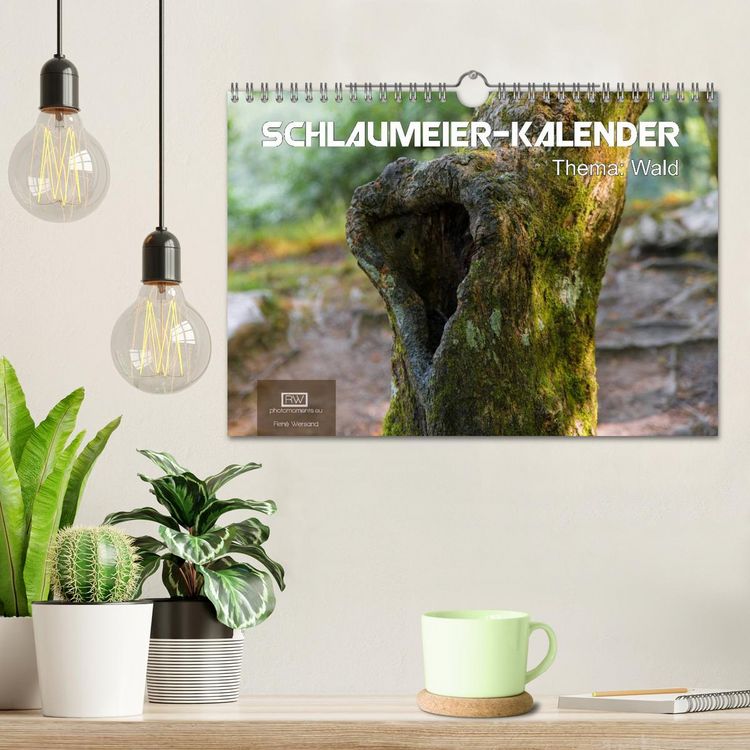 Produktbild: Schlaumeier-Kalender - Thema: Wald (Wandkalender 2026 DIN A4 quer), CALVENDO Monatskalender