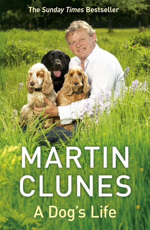 Produktbild: A Dog's Life
