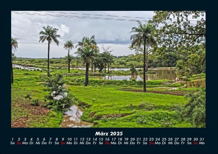 Produktbild: Palmentraum 2025 Fotokalender DIN A4