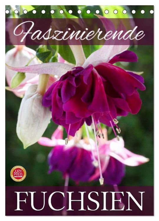 Produktbild: Faszinierende Fuchsien (Tischkalender 2026 DIN A5 hoch), CALVENDO Monatskalender