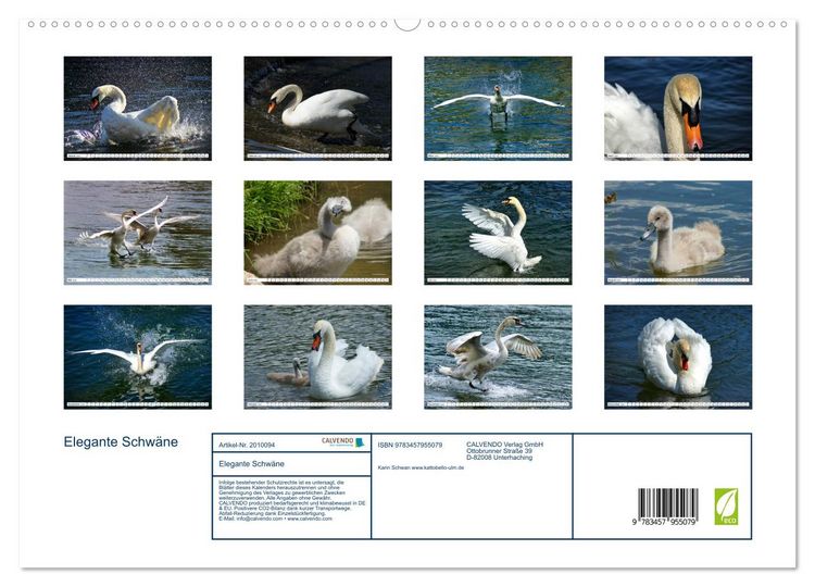 Produktbild: Elegante Schw&auml;ne (hochwertiger Premium Wandkalender 2026 DIN A2 quer), Kunstdruck in Hochglanz