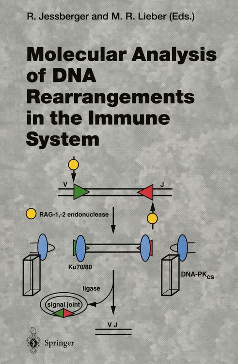 Produktbild: Molecular Analysis of DNA Rearrangements in the Immune System