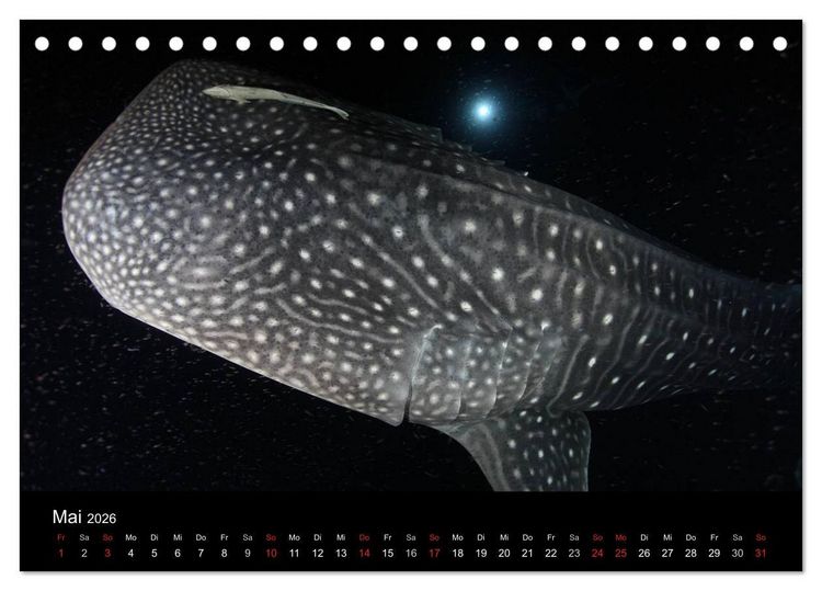 Produktbild: Magische Unterwasserwelten (Tischkalender 2026 DIN A5 quer), CALVENDO Monatskalender