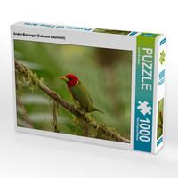 Produktbild: CALVENDO Puzzle Anden-Bartvogel (Eubucco bourcierii) | 1000 Teile Lege-Gr&ouml;&szlig;e 64x48cm Foto-Puzzle f&uuml;r gl&uuml;ckliche Stunden