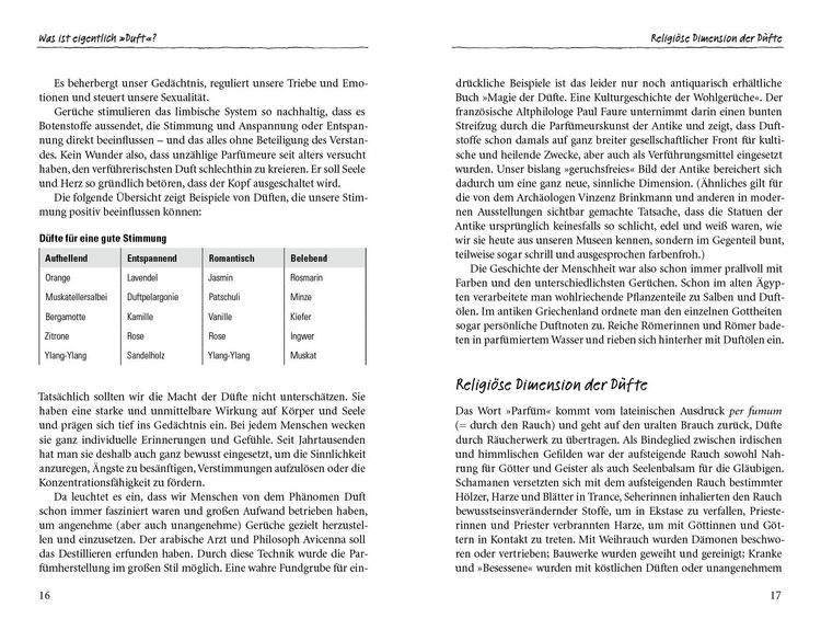 Produktbild: Duftoase Kr&auml;uterspirale