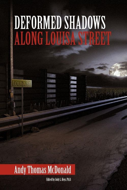Produktbild: Deformed Shadows Along Louisa Street