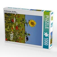 Produktbild: CALVENDO Puzzle Ein Sommertag - Den Burg | 1000 Teile Lege-Gr&ouml;&szlig;e 64x48cm Foto-Puzzle f&uuml;r gl&uuml;ckliche Stunden