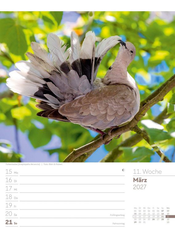 Produktbild: V&ouml;gel Wochenplaner Kalender 2027