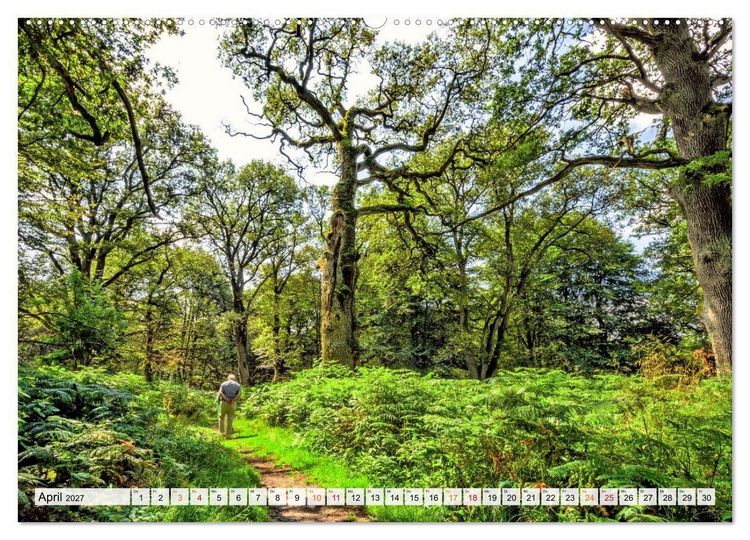 Produktbild: Naturpark Reinhardswald - Wo die Sababurg auf die Weser trifft (Wandkalender 2027 DIN A2 quer), CALVENDO Monatskalender