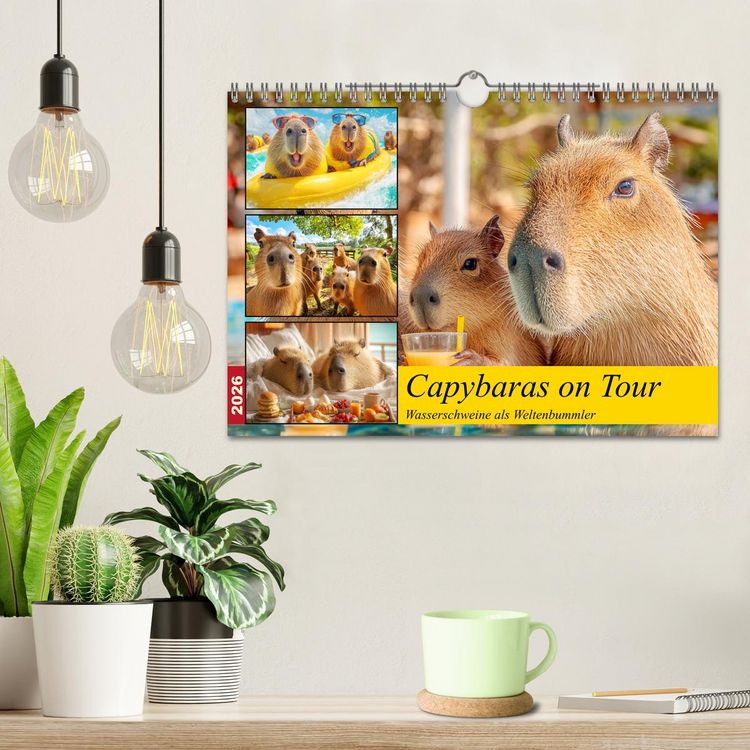 Produktbild: Capybaras on Tour. Wasserschweine als Weltenbummler (Wandkalender 2026 DIN A4 quer), CALVENDO Monatskalender
