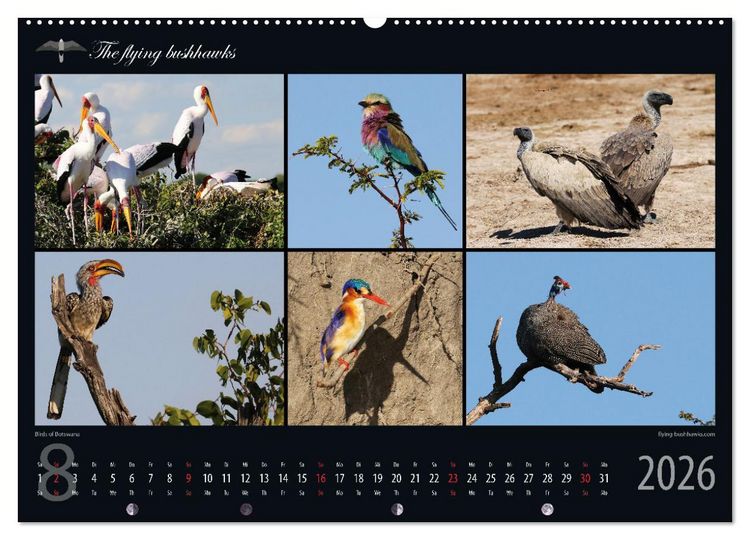 Produktbild: Botswana Blickwinkel 2026 (hochwertiger Premium Wandkalender 2026 DIN A2 quer), Kunstdruck in Hochglanz