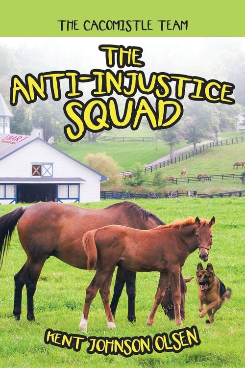 Produktbild: The Anti-Injustice Squad