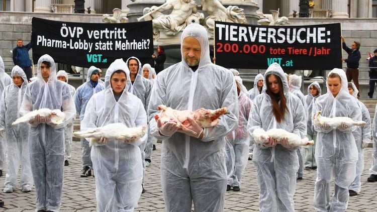 Produktbild: Im Namen der Tiere