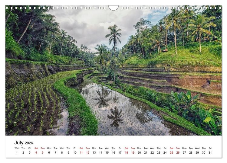 Produktbild: Tropical Vibes (Wall Calendar 2026 DIN A3 landscape), CALVENDO 12 Month Wall Calendar