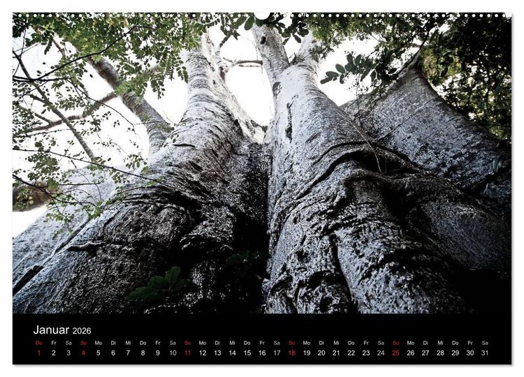 Produktbild: Malawi (Wandkalender 2026 DIN A2 quer), CALVENDO Monatskalender