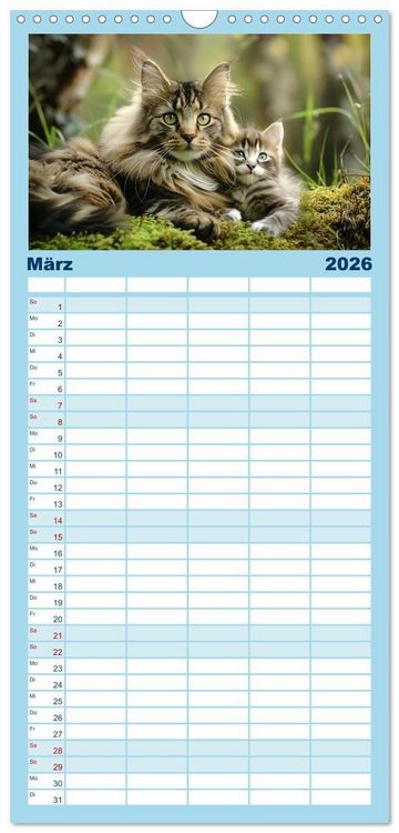 Produktbild: Familienplaner 2026 - Tierkinder des Nordens mit 5 Spalten (Wandkalender, 21 x 45 cm) CALVENDO